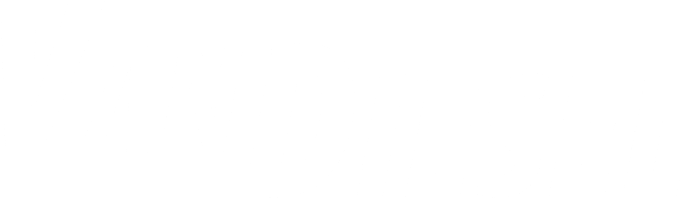Van Diesel Logo